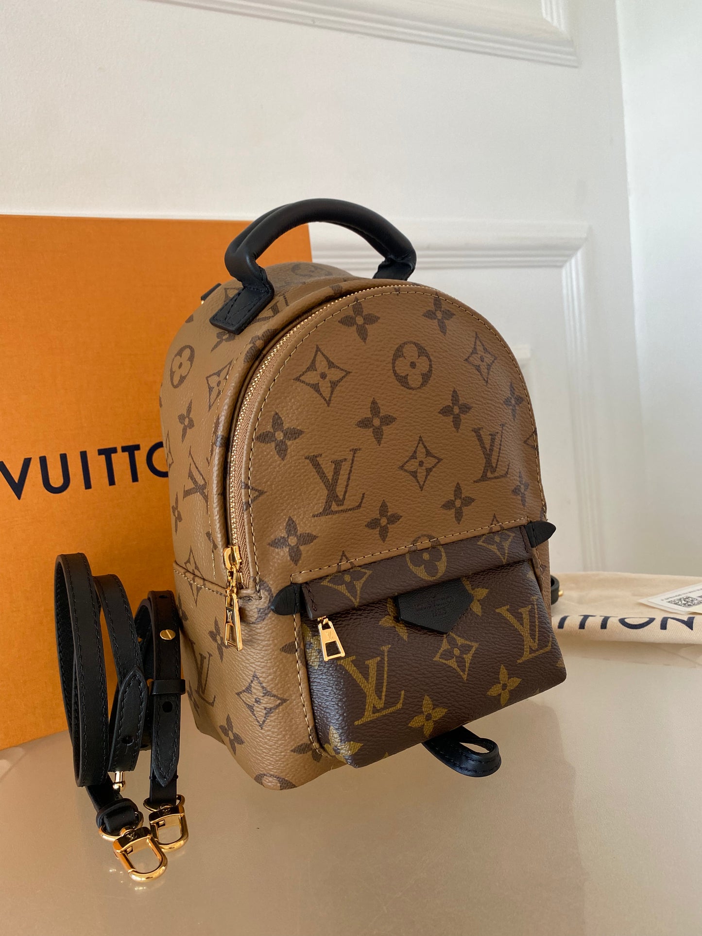 LOUIS VUITTON Mini Palmspring Mono Reverse Mini Backpack