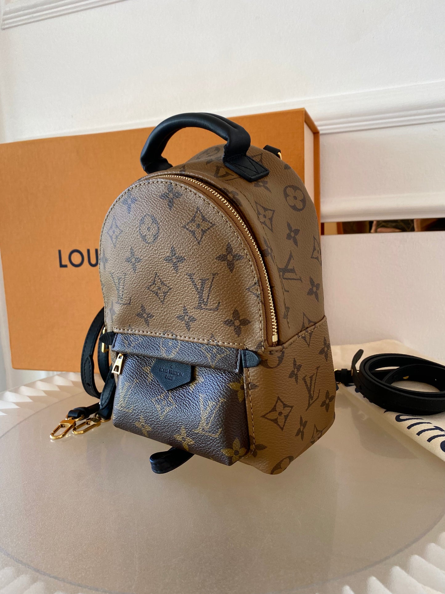 LOUIS VUITTON Mini Palmspring Mono Reverse Mini Backpack