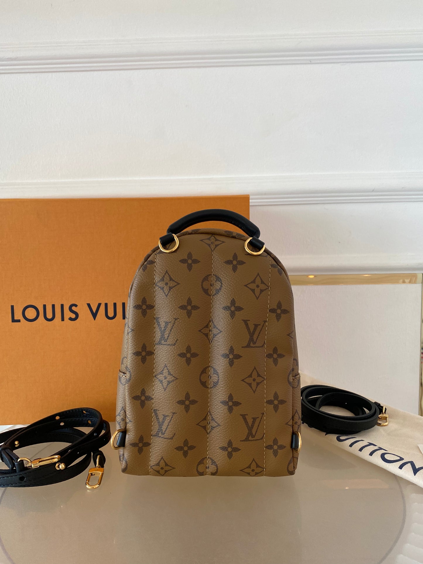 LOUIS VUITTON Mini Palmspring Mono Reverse Mini Backpack