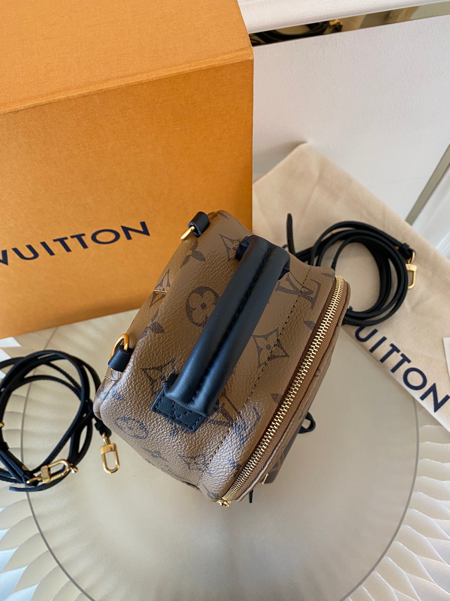 LOUIS VUITTON Mini Palmspring Mono Reverse Mini Backpack