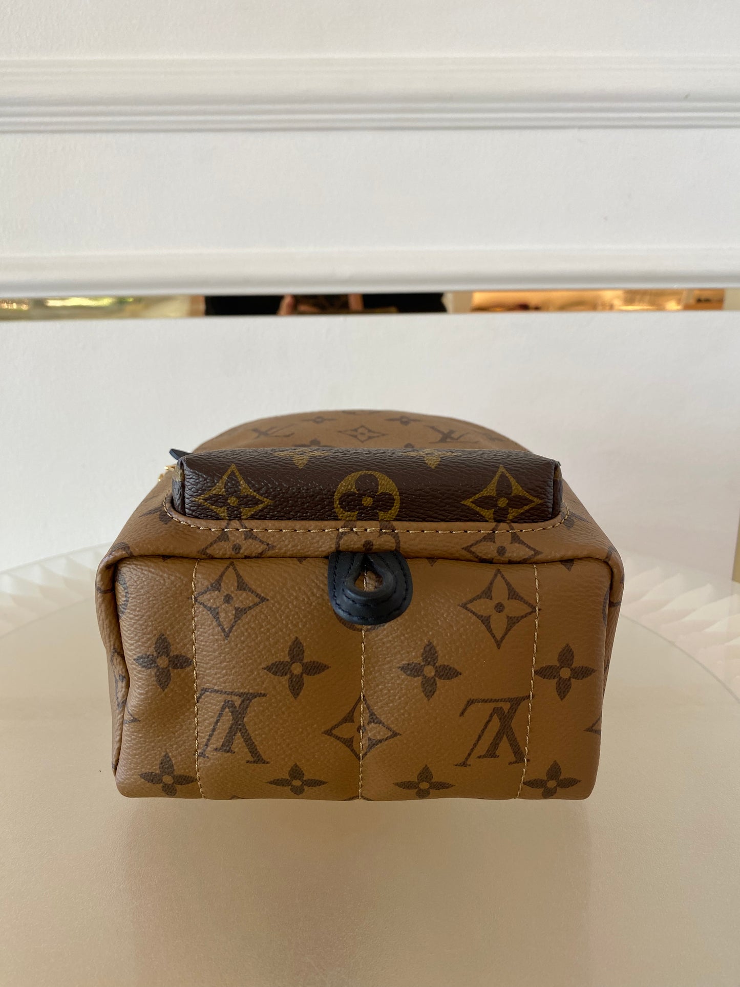 LOUIS VUITTON Mini Palmspring Mono Reverse Mini Backpack