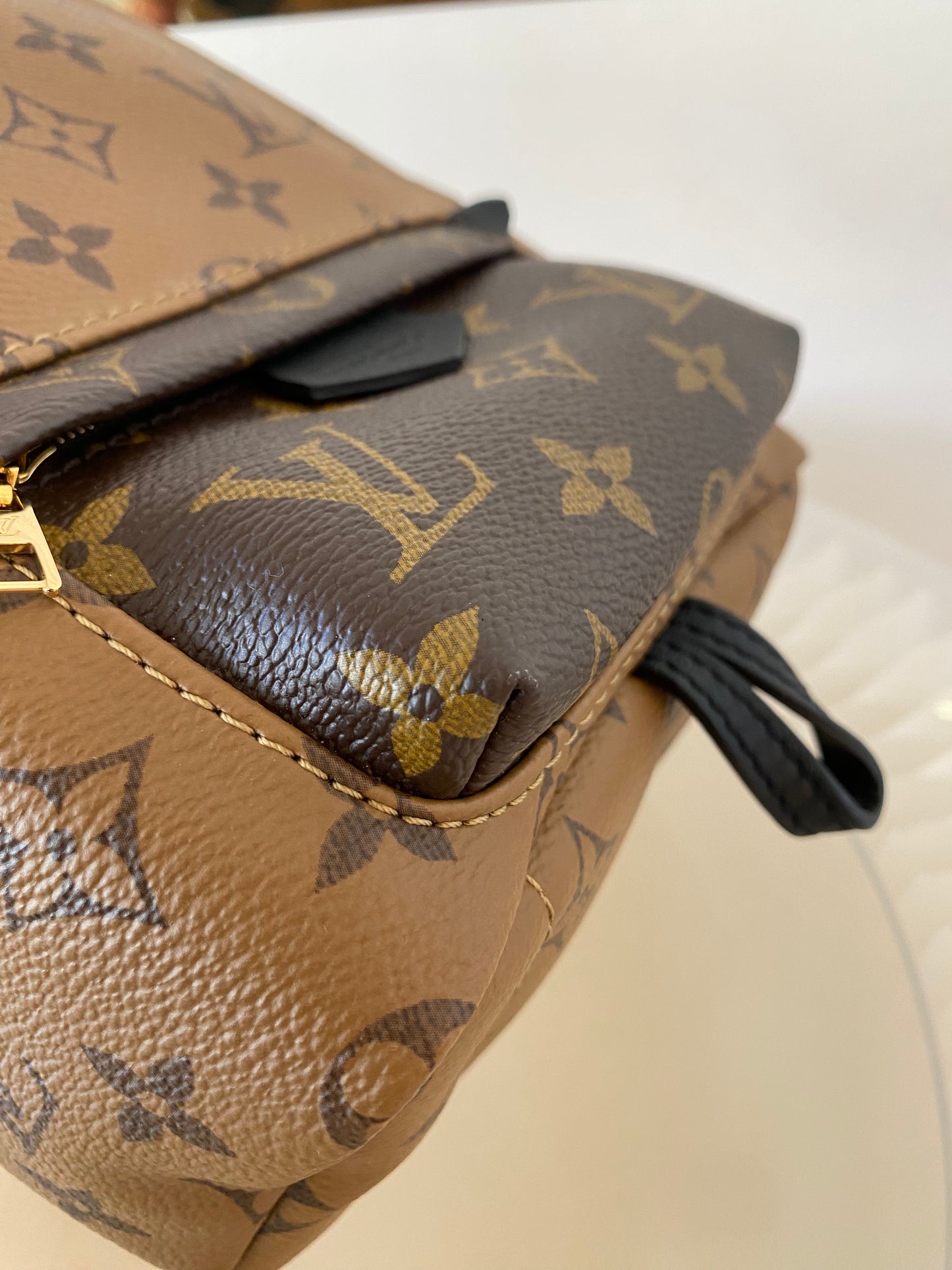 LOUIS VUITTON Mini Palmspring Mono Reverse Mini Backpack