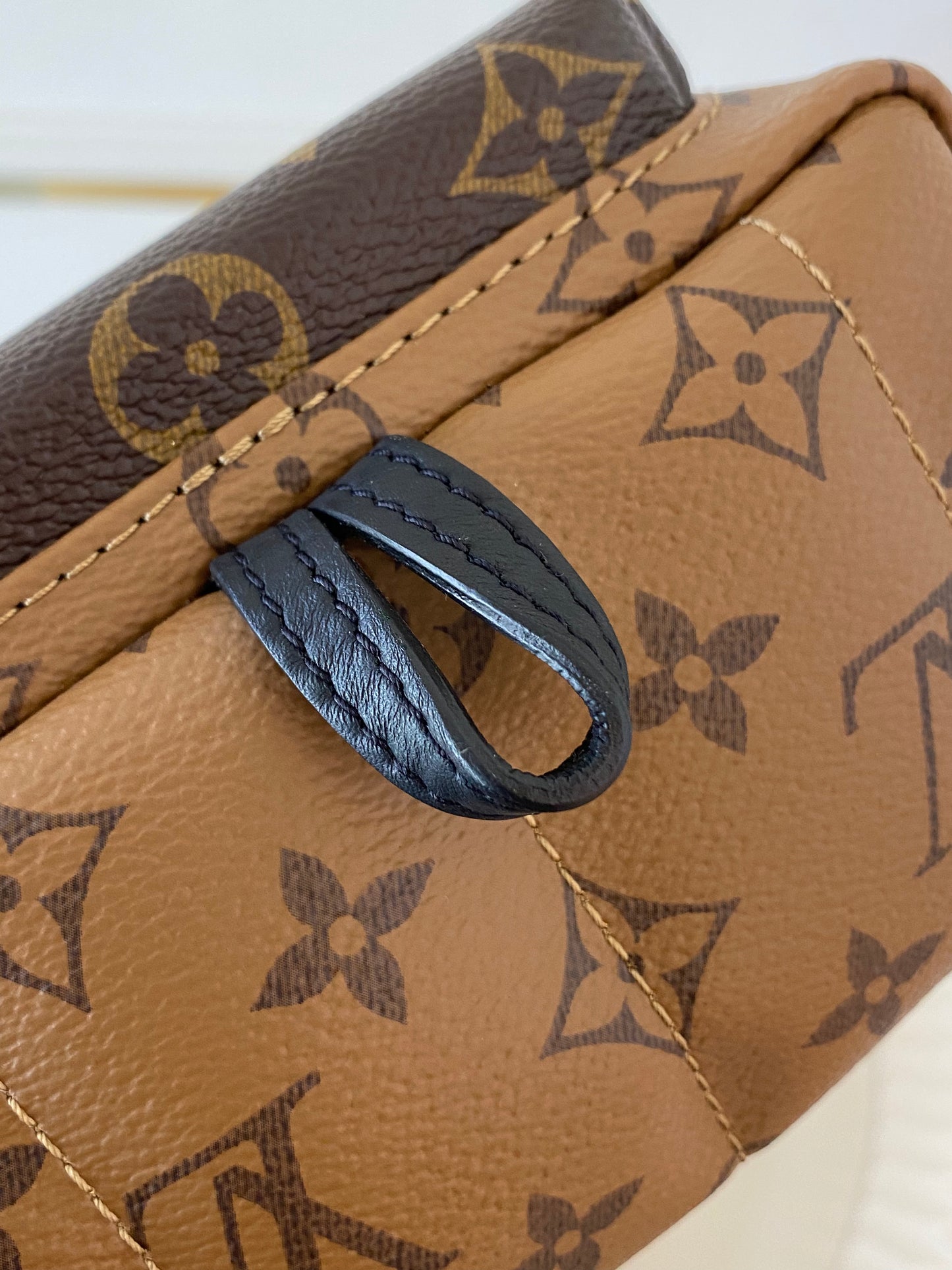 LOUIS VUITTON Mini Palmspring Mono Reverse Mini Backpack