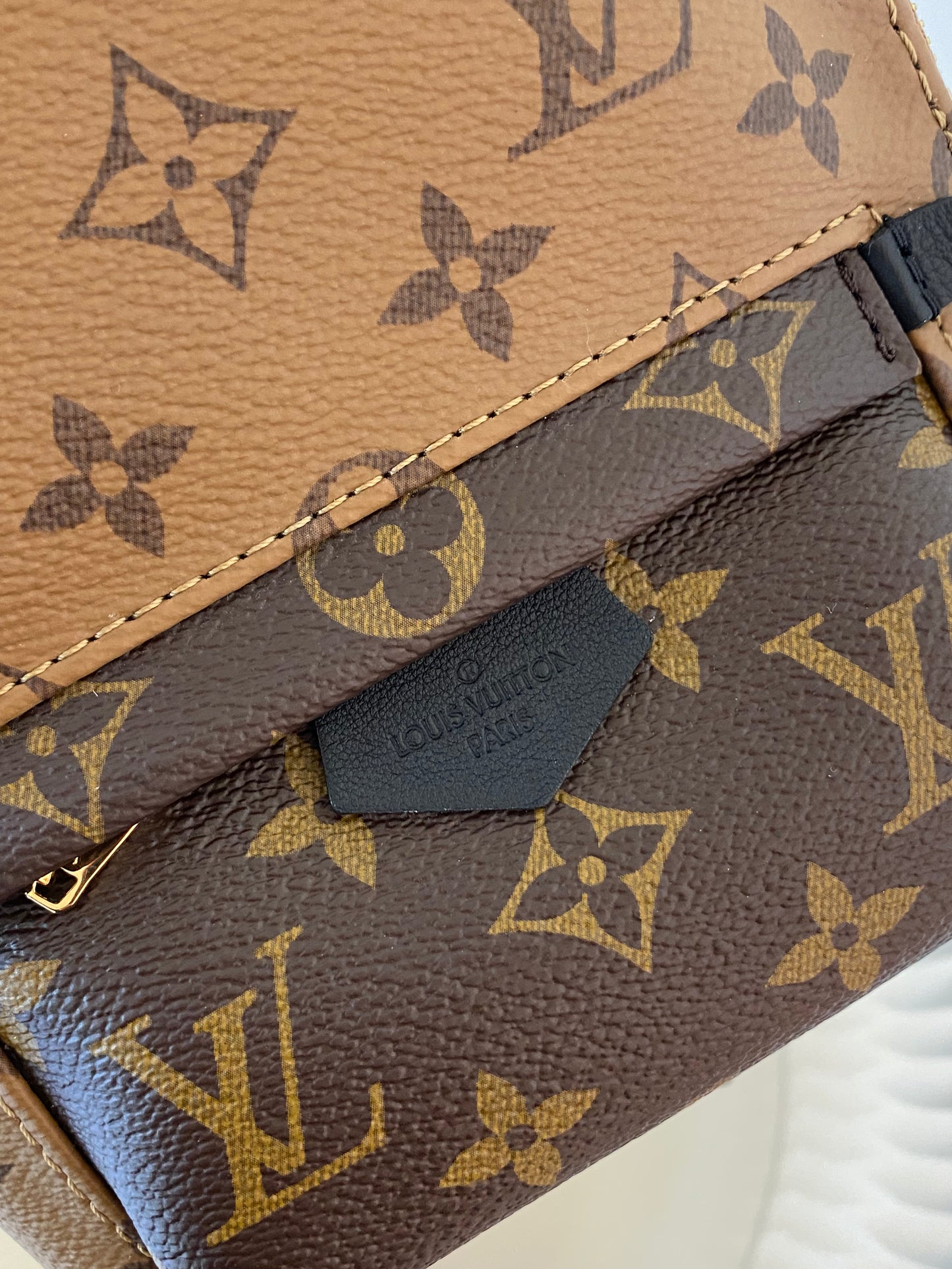 LOUIS VUITTON Mini Palmspring Mono Reverse Mini Backpack