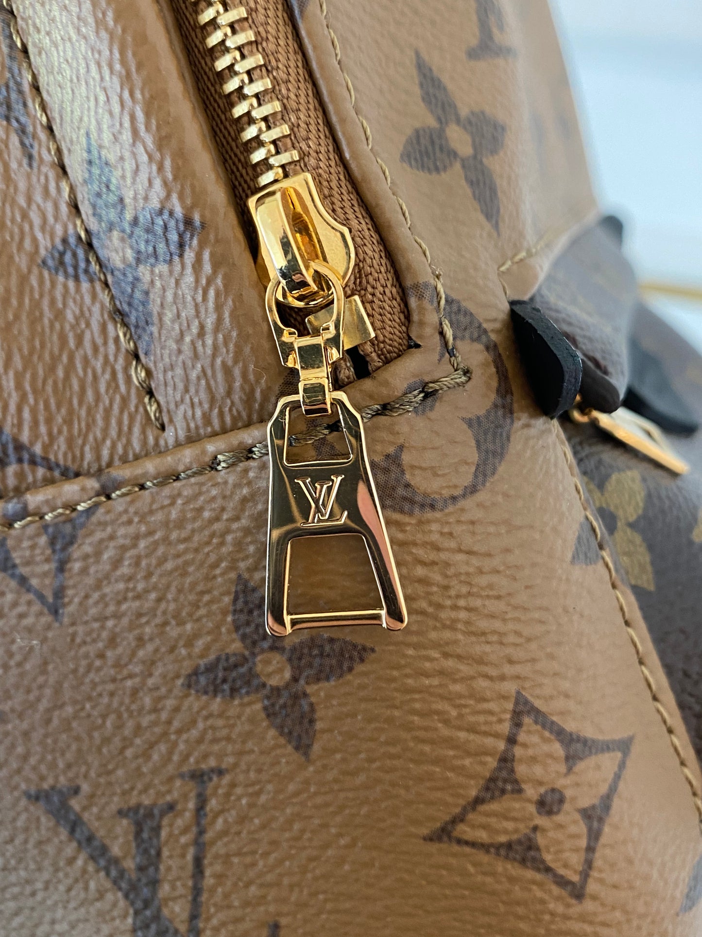 LOUIS VUITTON Mini Palmspring Mono Reverse Mini Backpack
