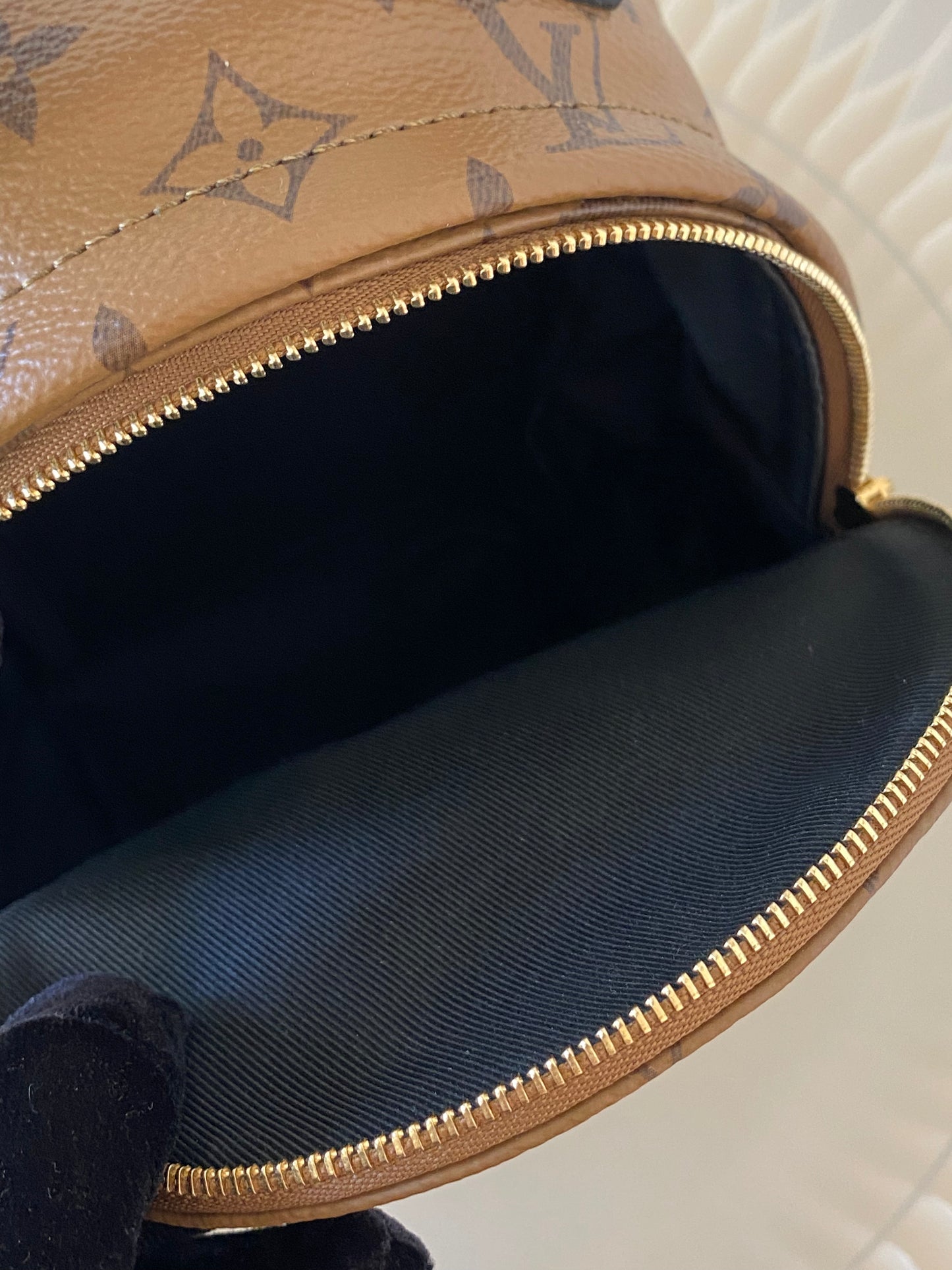 LOUIS VUITTON Mini Palmspring Mono Reverse Mini Backpack