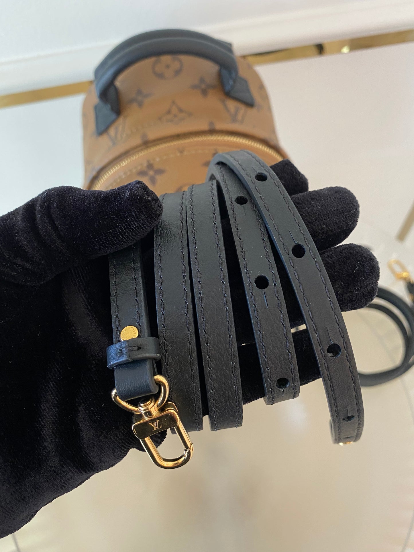LOUIS VUITTON Mini Palmspring Mono Reverse Mini Backpack