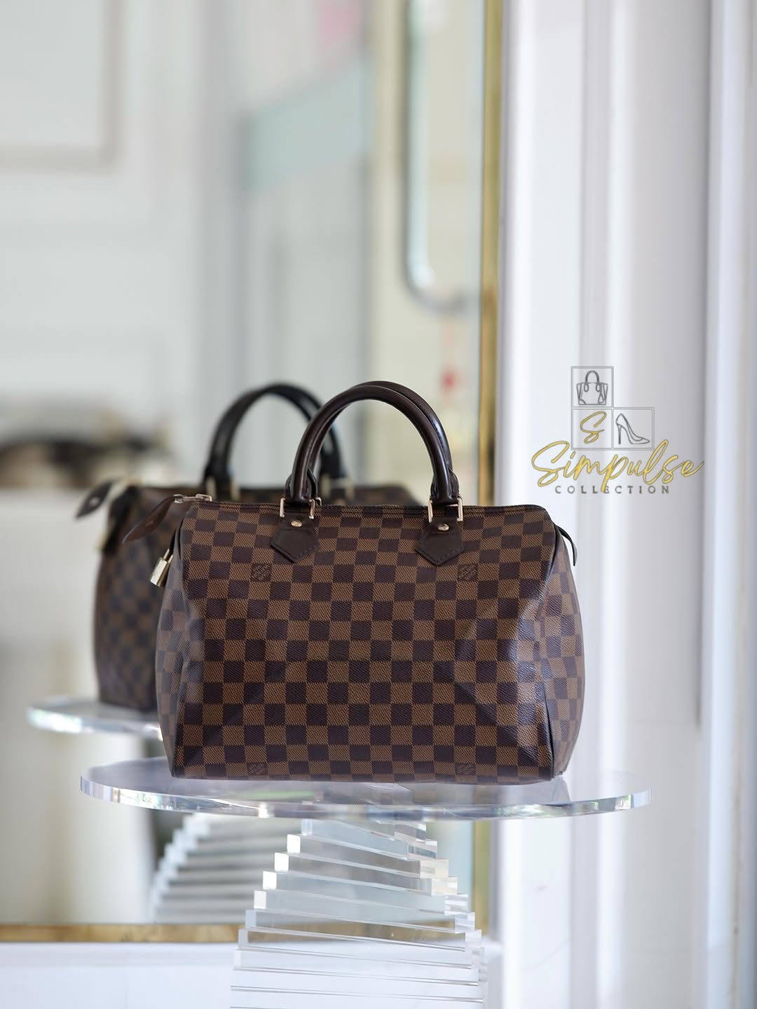 LOUIS VUITTON Speedy 30 in Damier Ebene