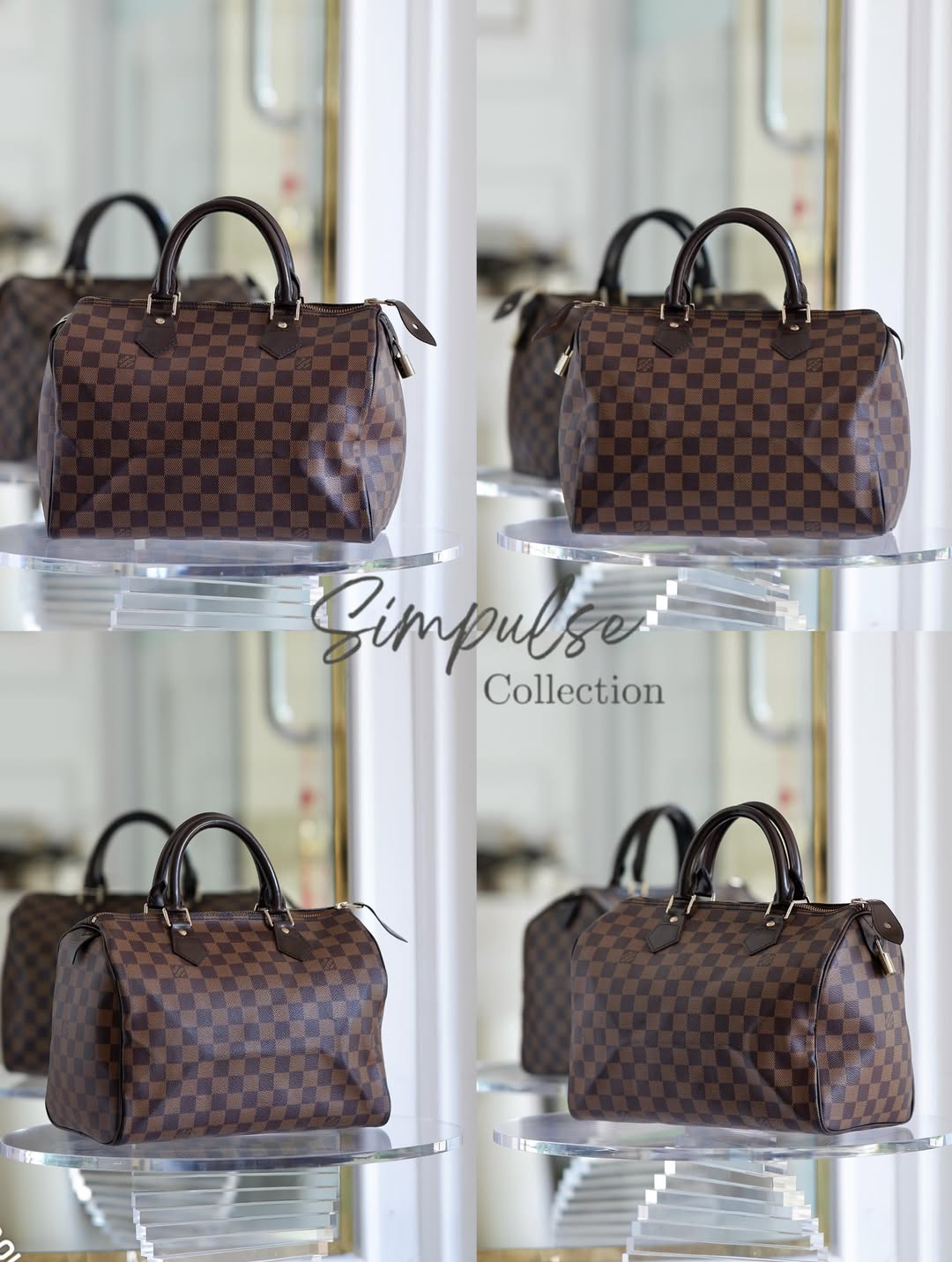 LOUIS VUITTON Speedy 30 in Damier Ebene
