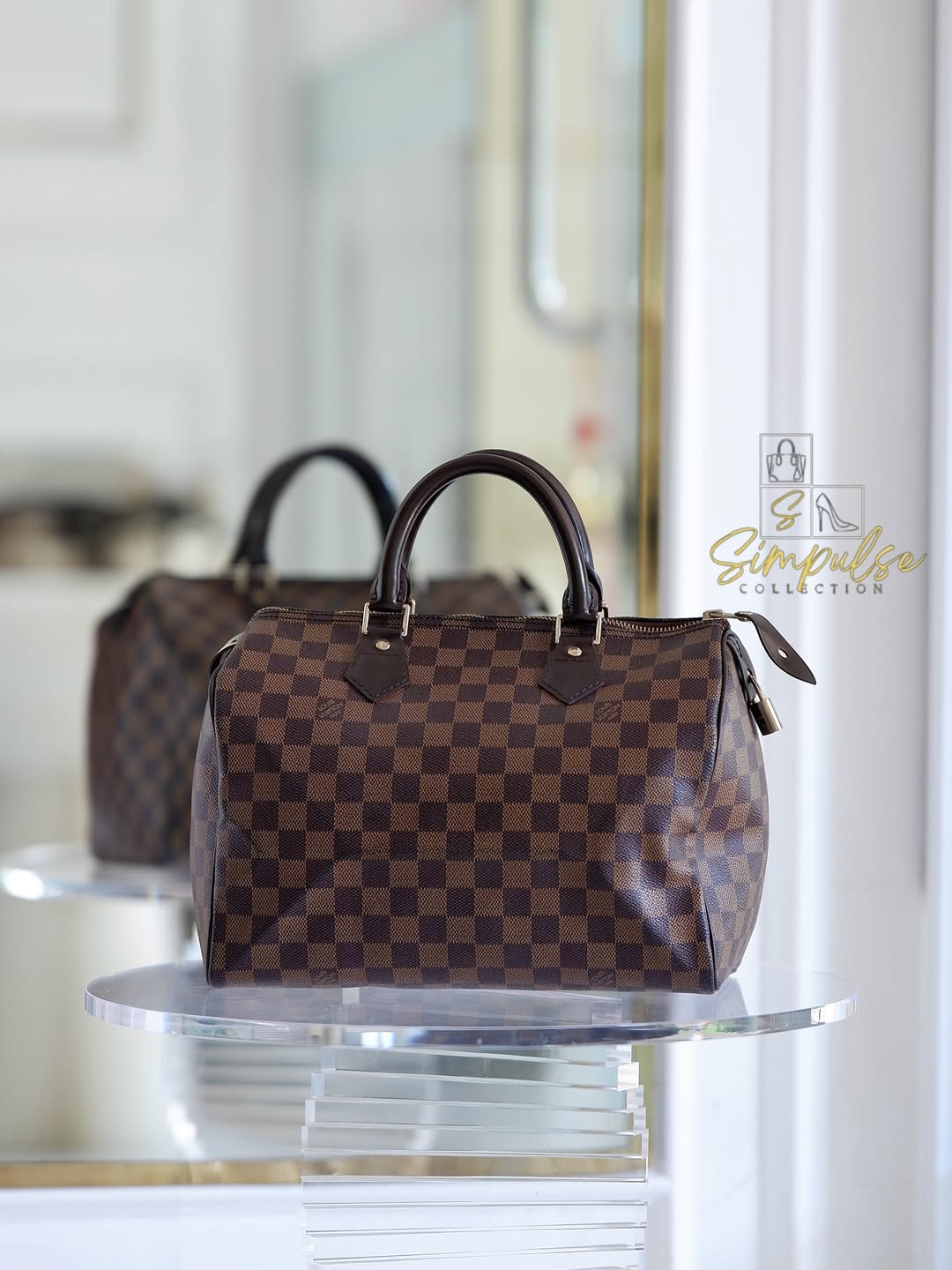 LOUIS VUITTON Speedy 30 in Damier Ebene