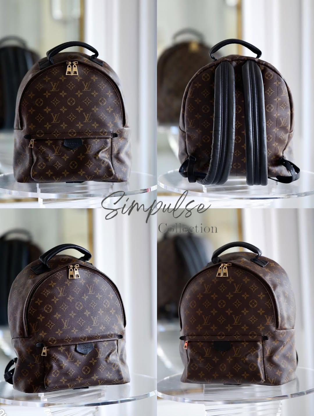 LOUIS VUITTON Mono Palmspring Backpack Pm size