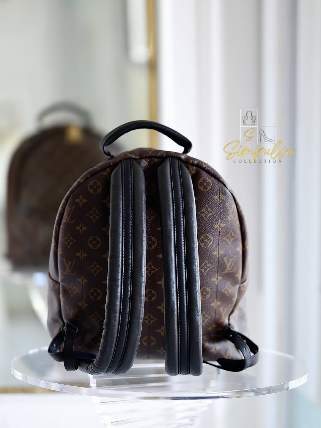 LOUIS VUITTON Mono Palmspring Backpack Pm size