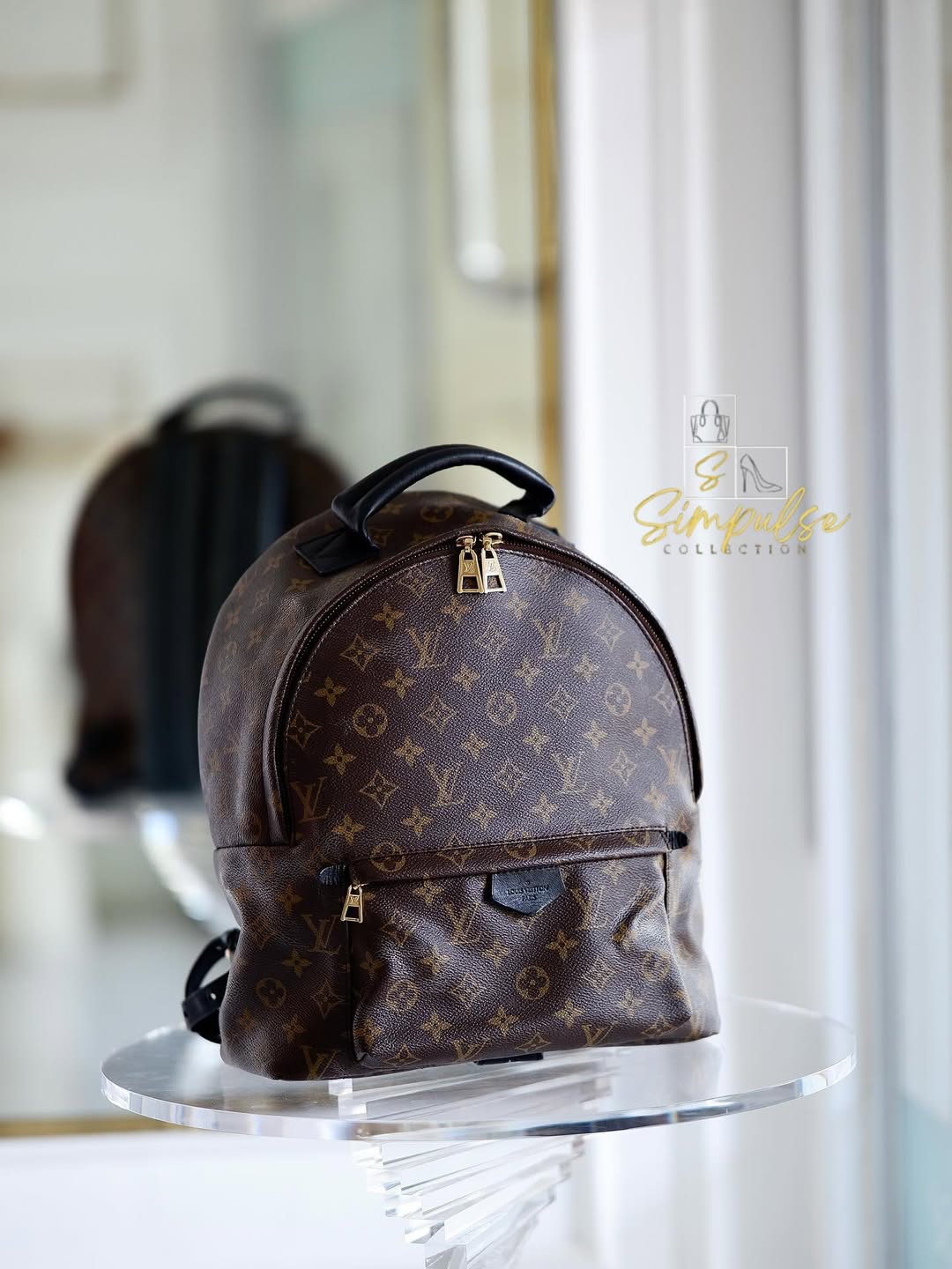 LOUIS VUITTON Mono Palmspring Backpack Pm size