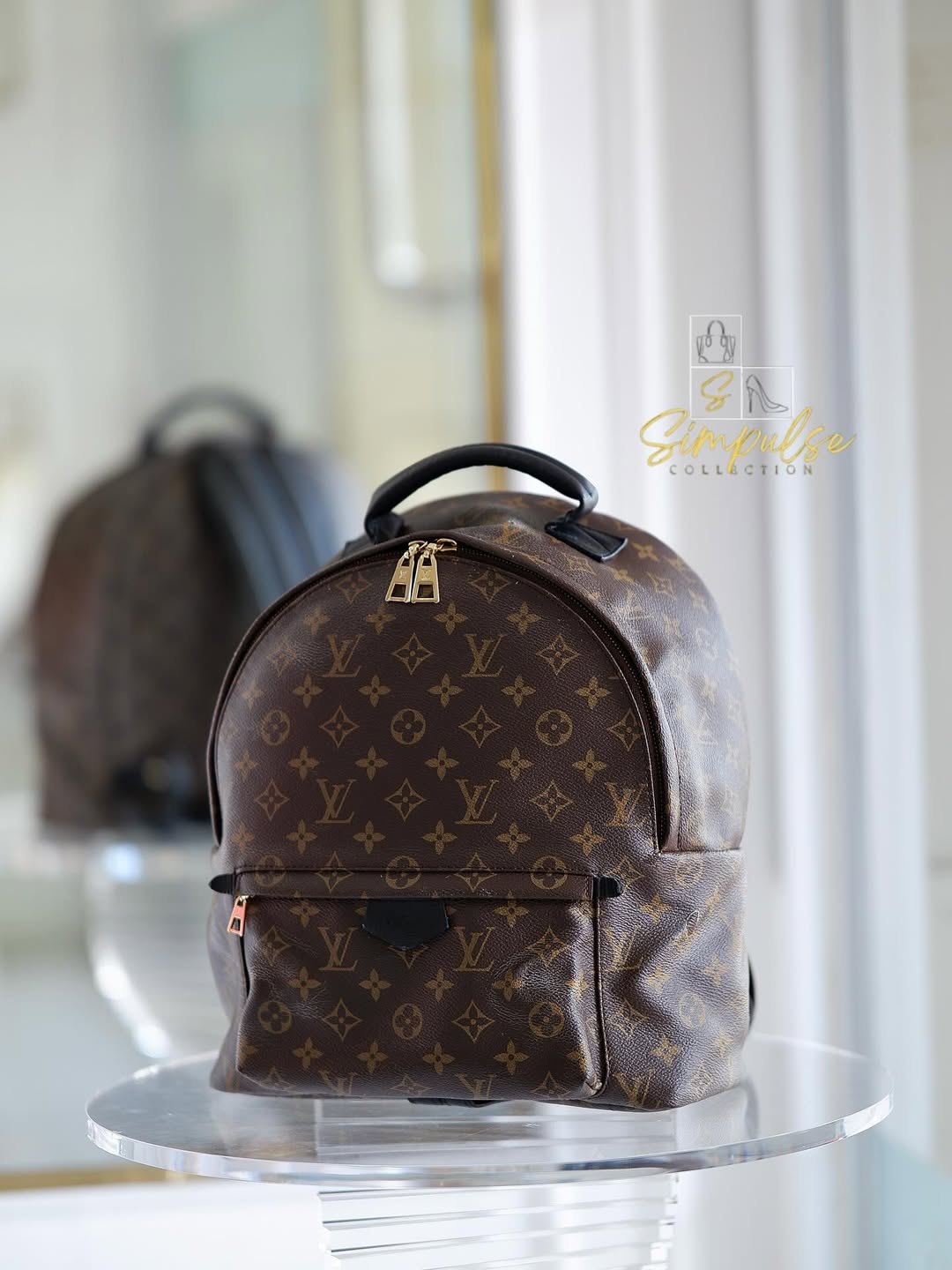LOUIS VUITTON Mono Palmspring Backpack Pm size