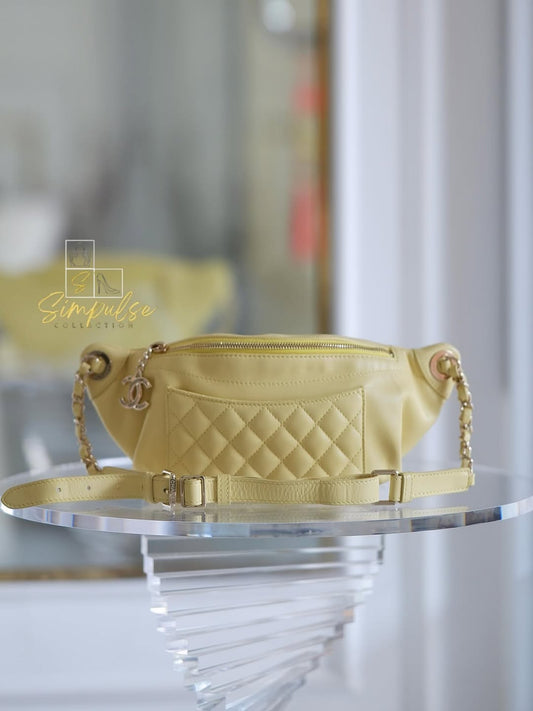 Chanel Bi Classic Quilted Waist Bag