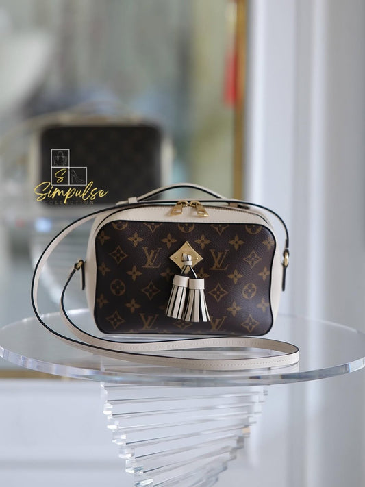 LOUIS VUITTON Mono Santoinge Bag