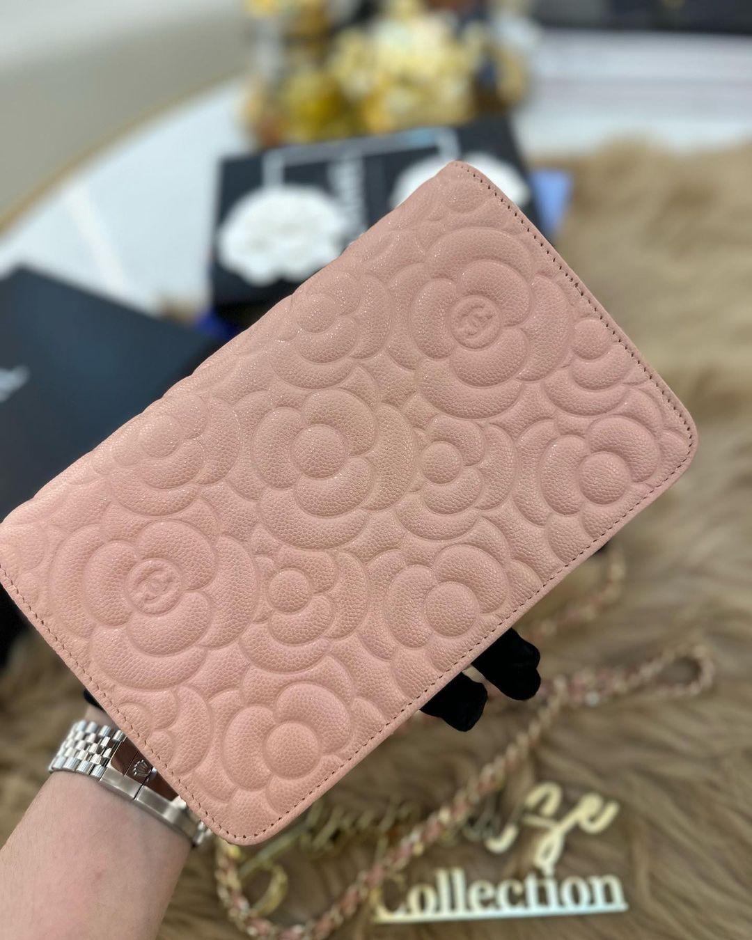 Camelia Wallet on Chain (WOC)