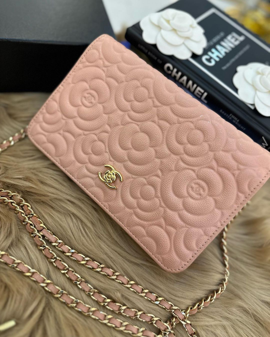 Camelia Wallet on Chain (WOC)