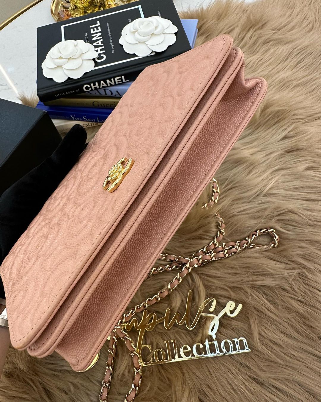 Camelia Wallet on Chain (WOC)