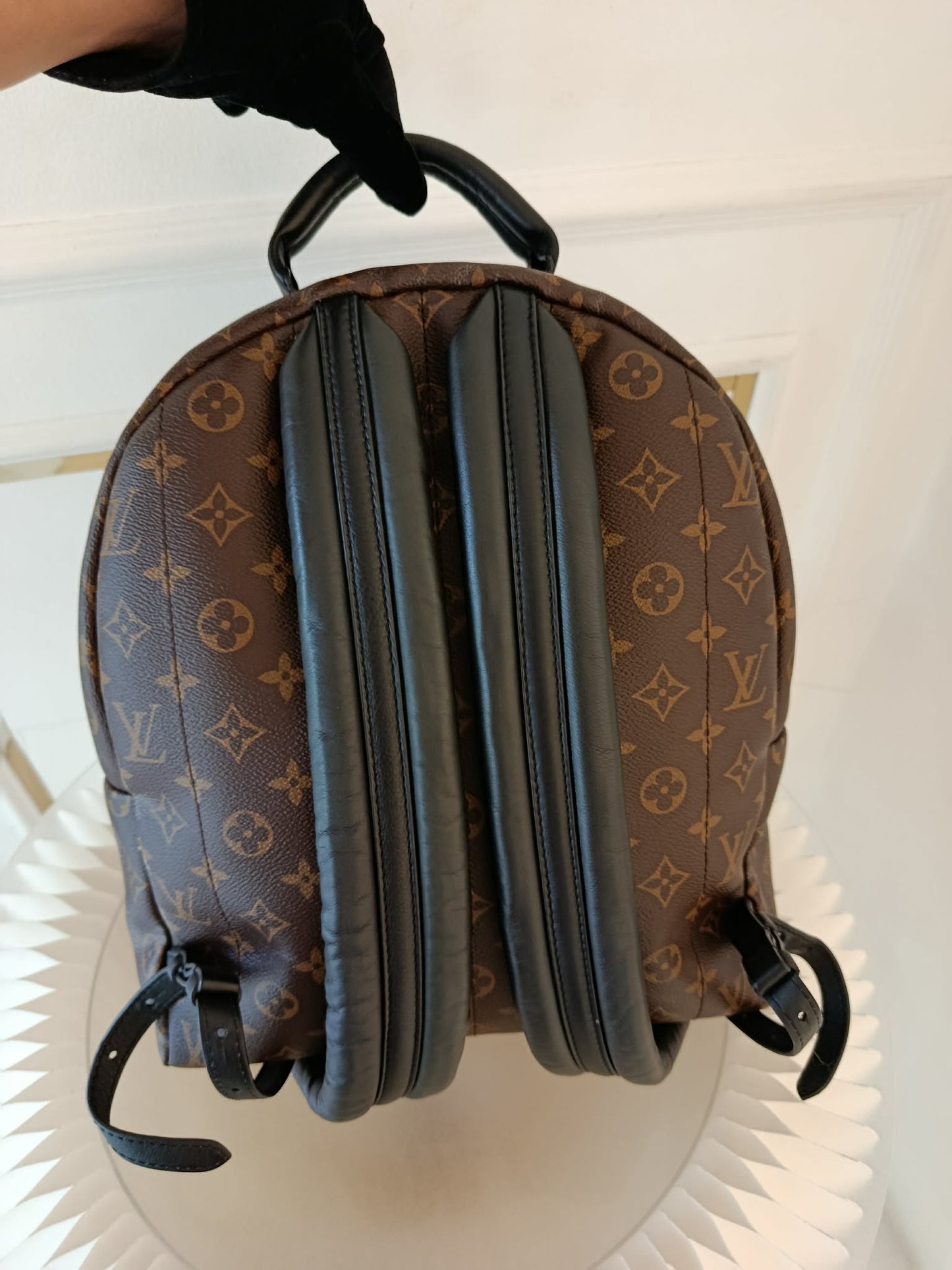 LOUIS VUITTON Mono Palmspring Backpack Pm size