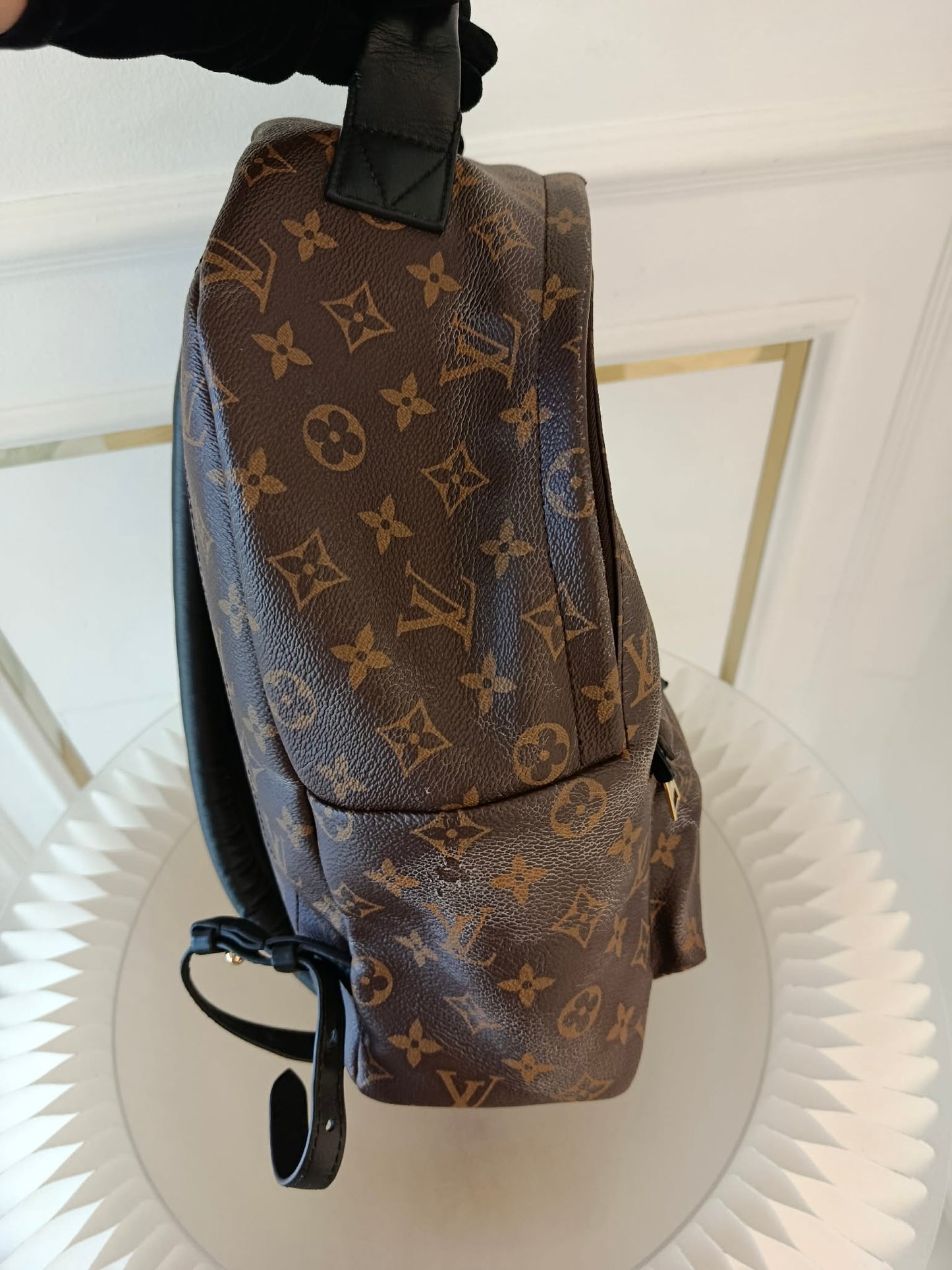 LOUIS VUITTON Mono Palmspring Backpack Pm size
