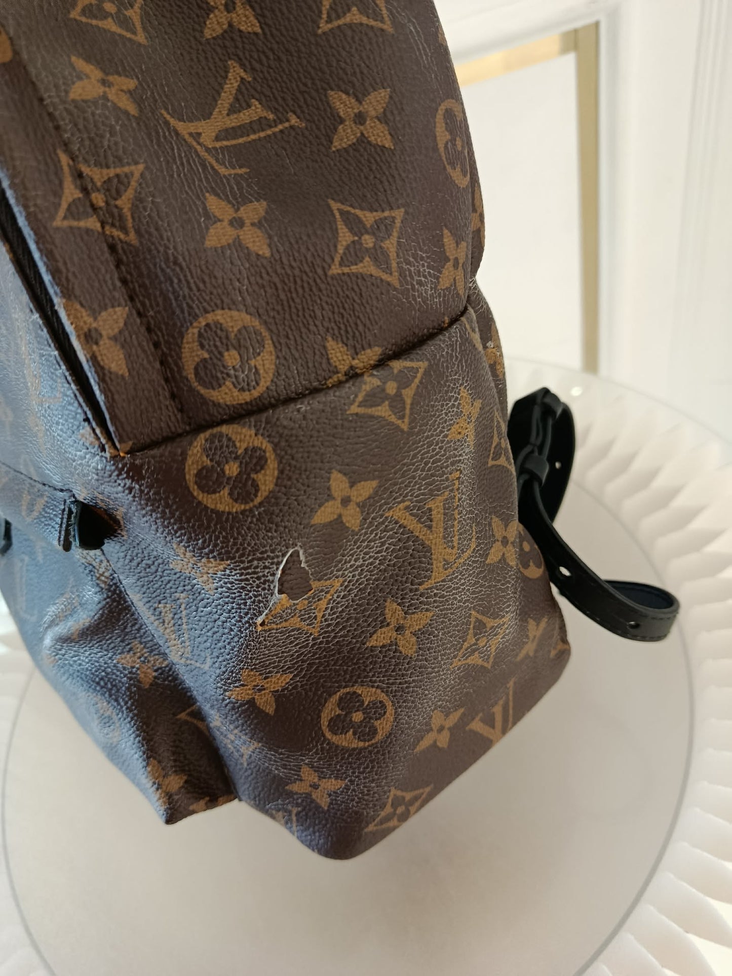 LOUIS VUITTON Mono Palmspring Backpack Pm size