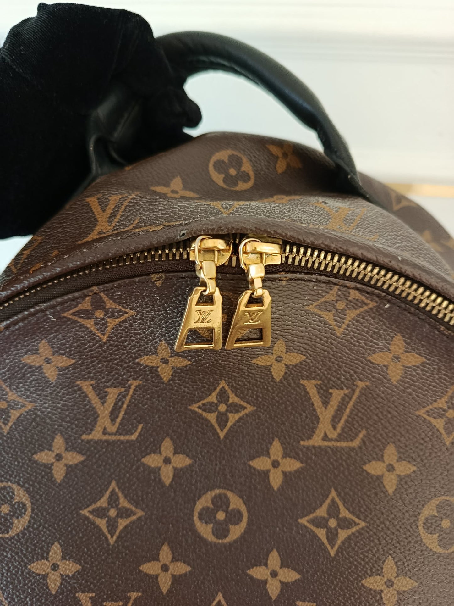 LOUIS VUITTON Mono Palmspring Backpack Pm size