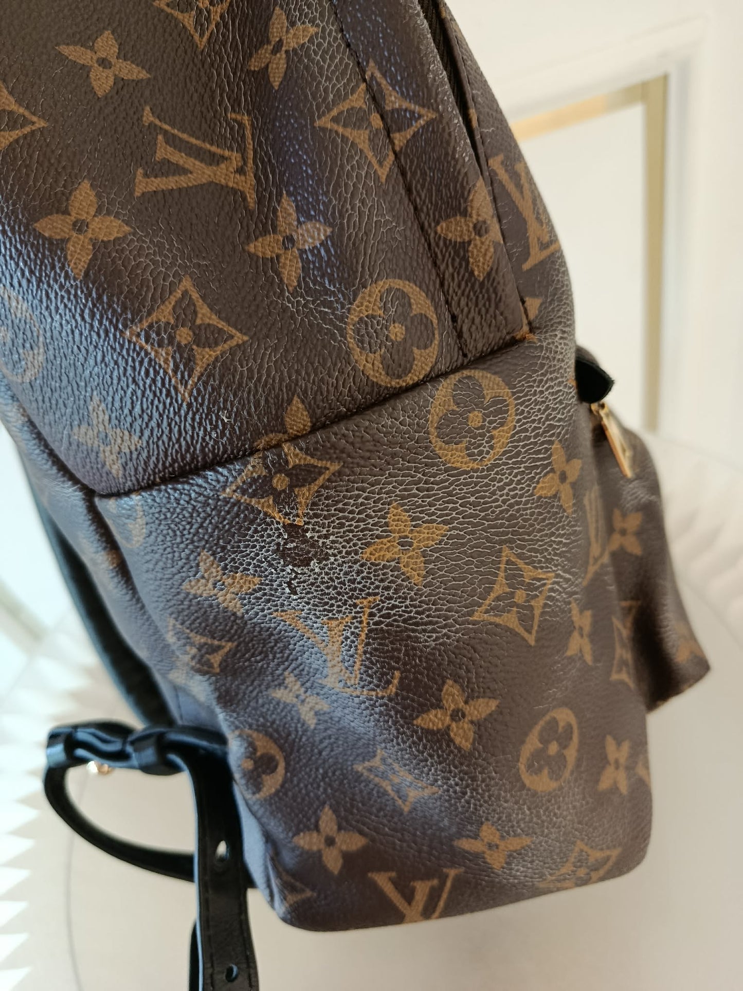 LOUIS VUITTON Mono Palmspring Backpack Pm size